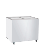 S300-BCSG-FF-300x300