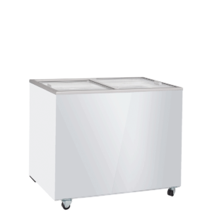 S300-BCSG-FF-300x300